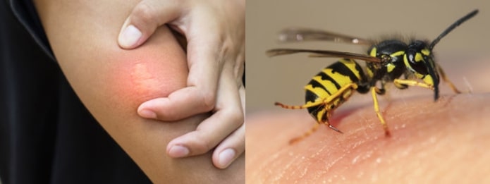 බඹර ප්‍රහාරය